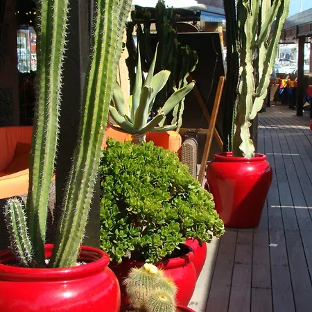 펜션 Nala Meer- Bergblick, Solarbeheizter Pool, Ruhige Lage, Alles Zu Fuss Erreichbar *