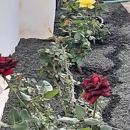 Vakantiehuis Nala Meer- Bergblick, Solarbeheizter Pool, Ruhige Lage, Alles Zu Fuss Erreichbar *