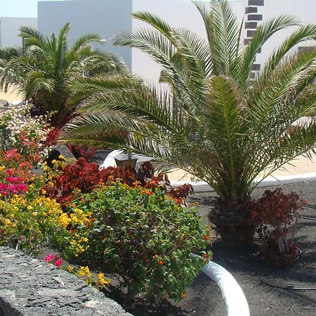 Vakantiehuis Nala Meer- Bergblick, Solarbeheizter Pool, Ruhige Lage, Alles Zu Fuss Erreichbar *