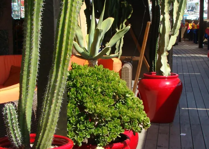 Vakantiehuis Nala Meer- Bergblick, Solarbeheizter Pool, Ruhige Lage, Alles Zu Fuss Erreichbar *