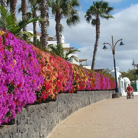 Nala Meer- Bergblick, Solarbeheizter Pool, Ruhige Lage, Alles Zu Fuss Erreichbar Playa Blanca (Lanzarote)