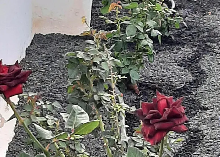 Tatil Evi Nala Meer- Bergblick, Solarbeheizter Pool, Ruhige Lage, Alles Zu Fuss Erreichbar *